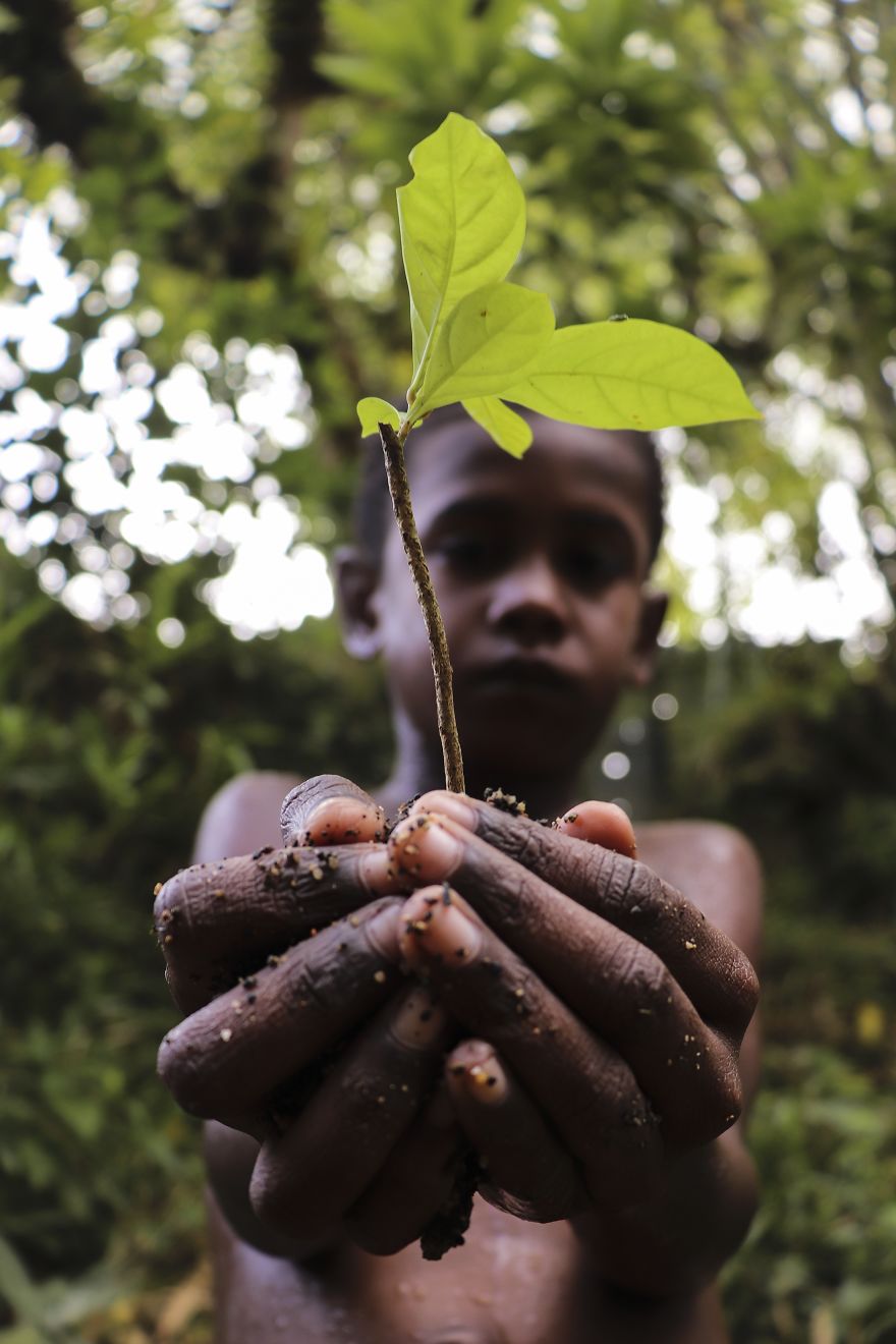 One Of The Trees Was Meant To This Earth