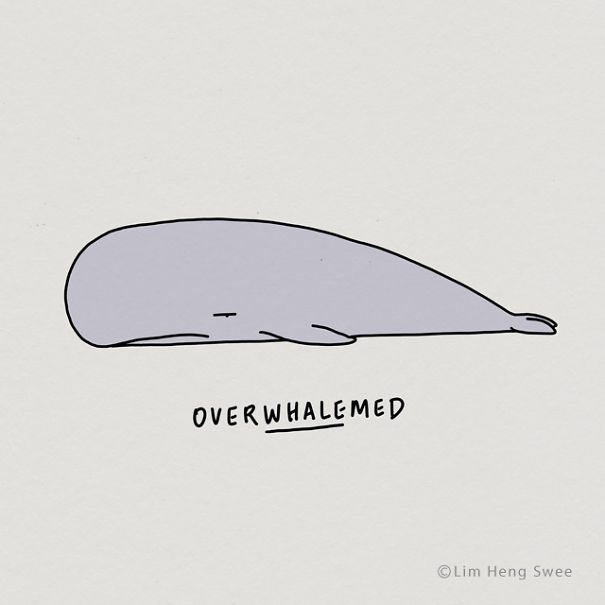Whale