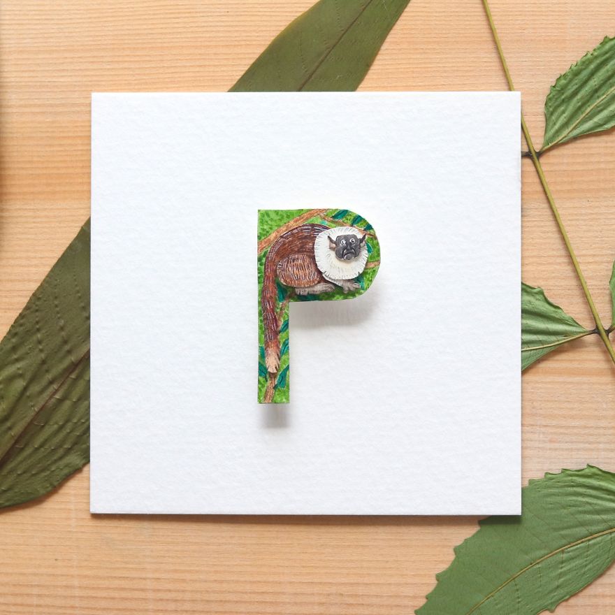 We Made An Alphabet Out Of Endangered Wildlife Species (34 Pics)