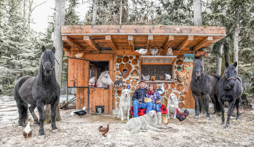 I Photograph Full Farm Portraits! I Photograph Full Farm Portraits!