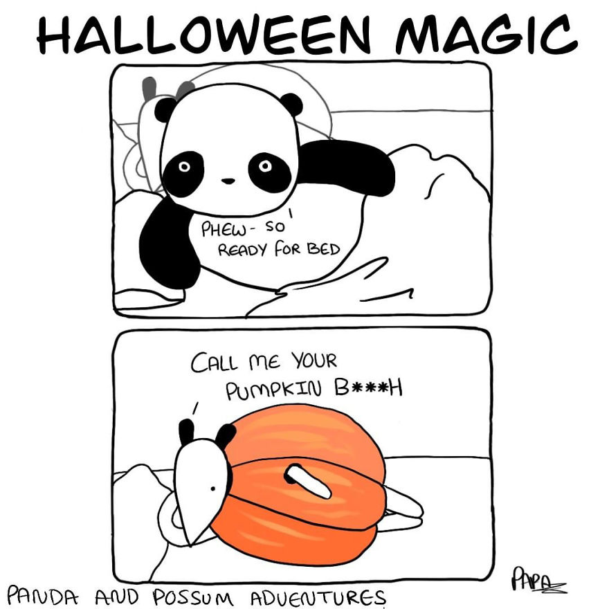 Panda And Possum Adventures- Webcomic