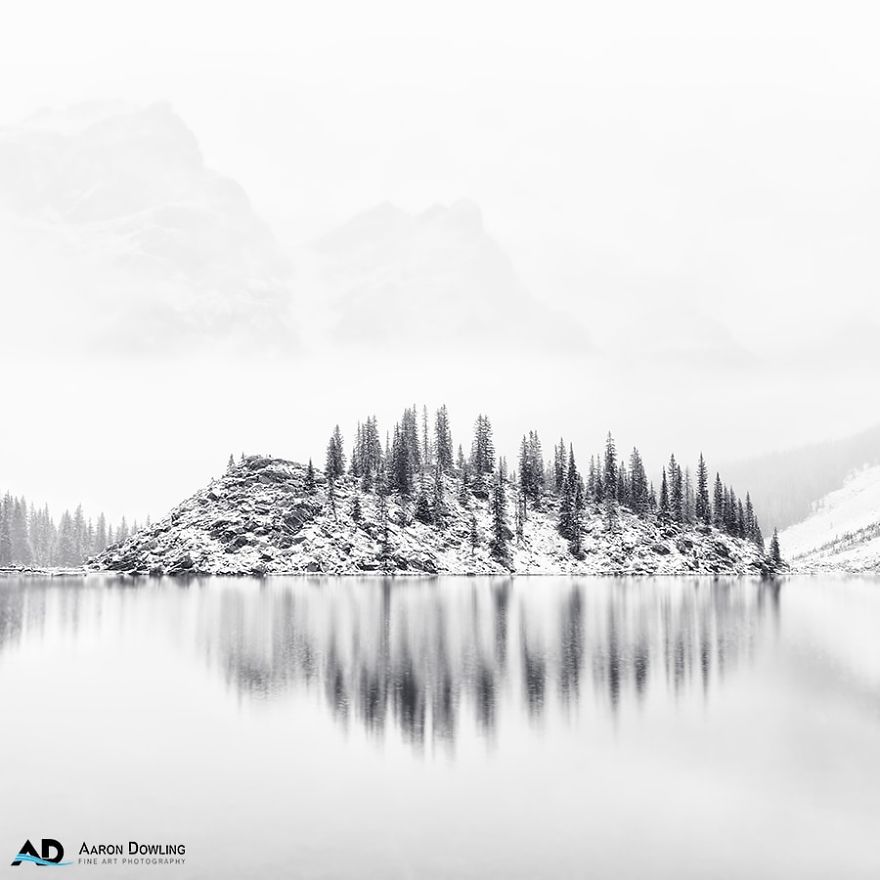 Isolation In Nature (Reflecting Our Lives Today)