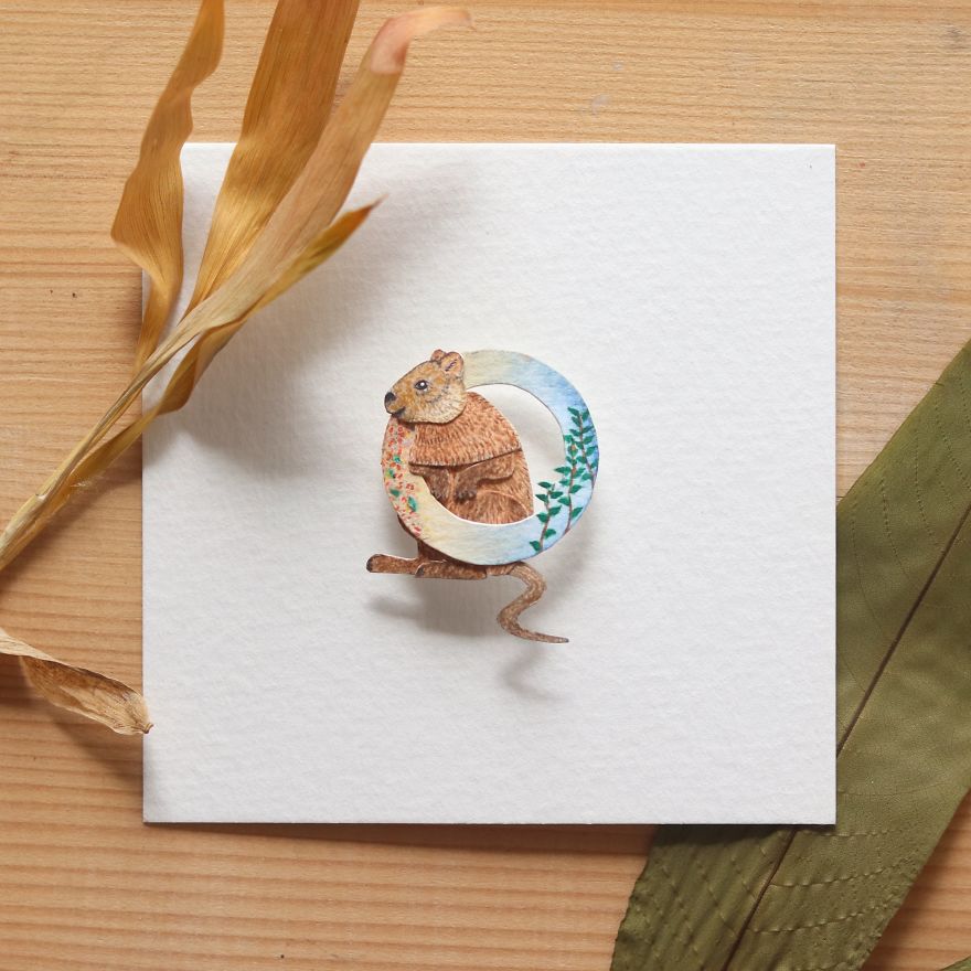 We Made An Alphabet Out Of Endangered Wildlife Species (34 Pics)