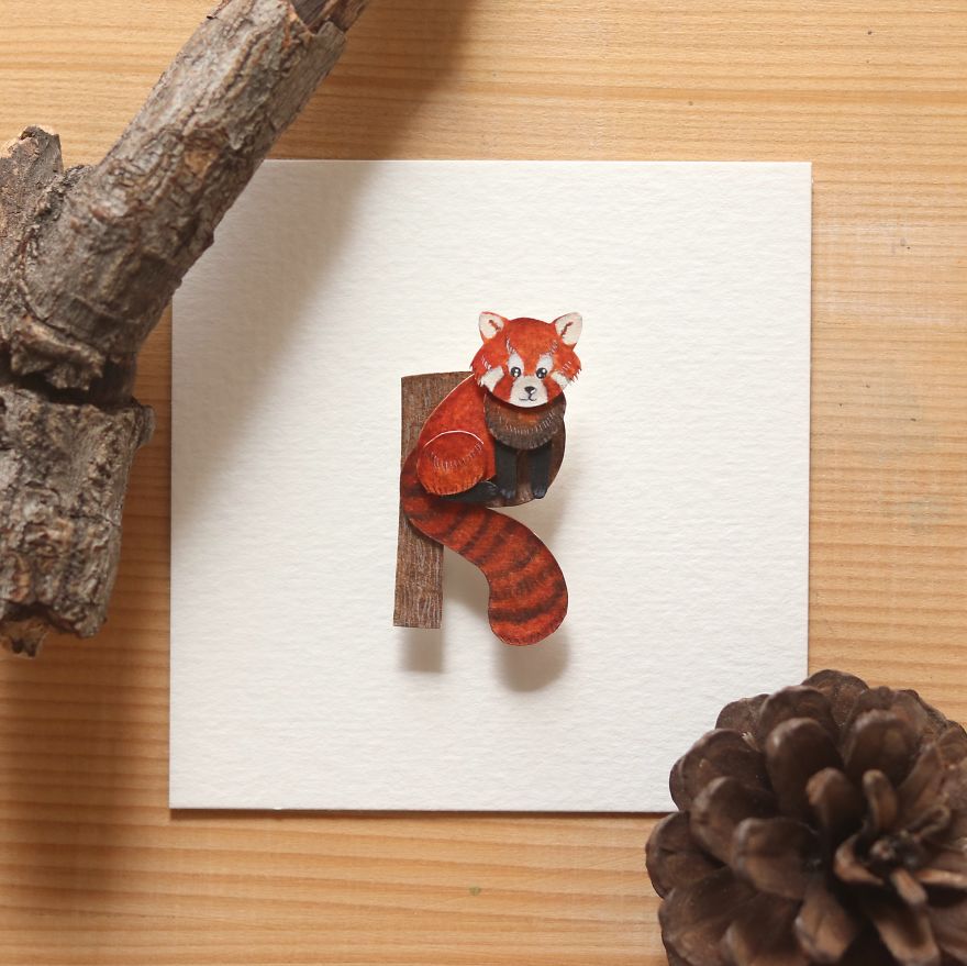 We Made An Alphabet Out Of Endangered Wildlife Species (34 Pics)