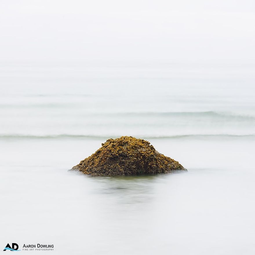 Isolation In Nature (Reflecting Our Lives Today) Isolation In Nature (Reflecting Our Lives Today)