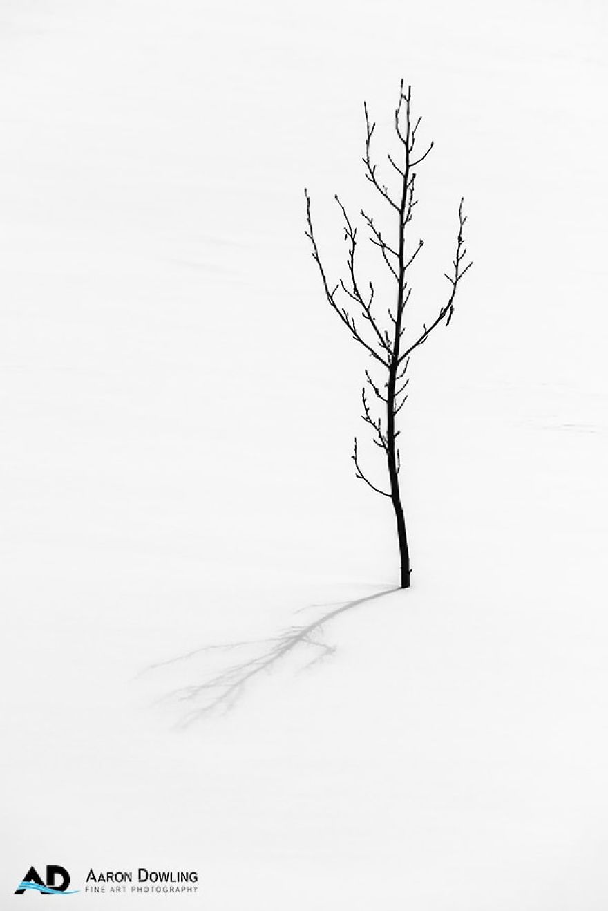 Isolation In Nature (Reflecting Our Lives Today) Isolation In Nature (Reflecting Our Lives Today)