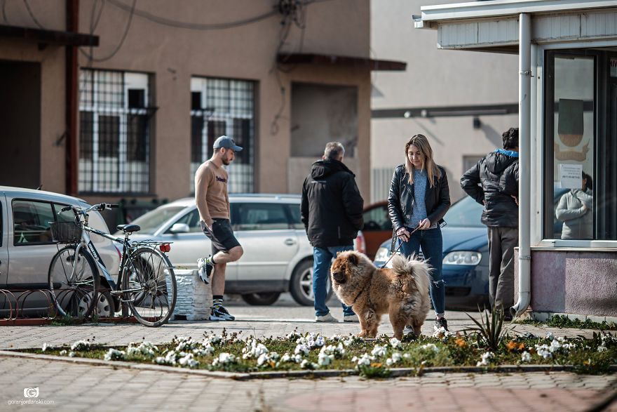 Small Town Corona 2 Small Town Corona 2