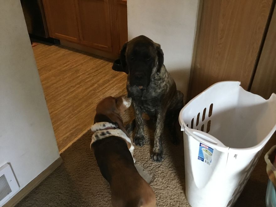 Some Cute Photos Some Cute Photos