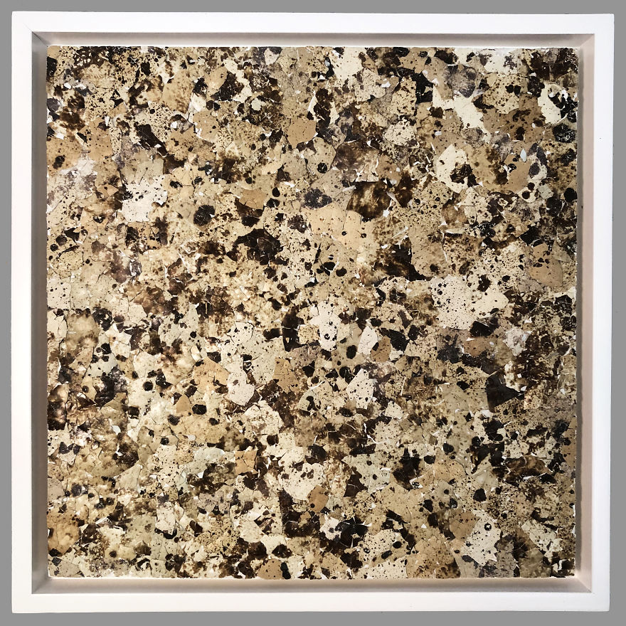 I Make Artwork Out Of Food Scraps