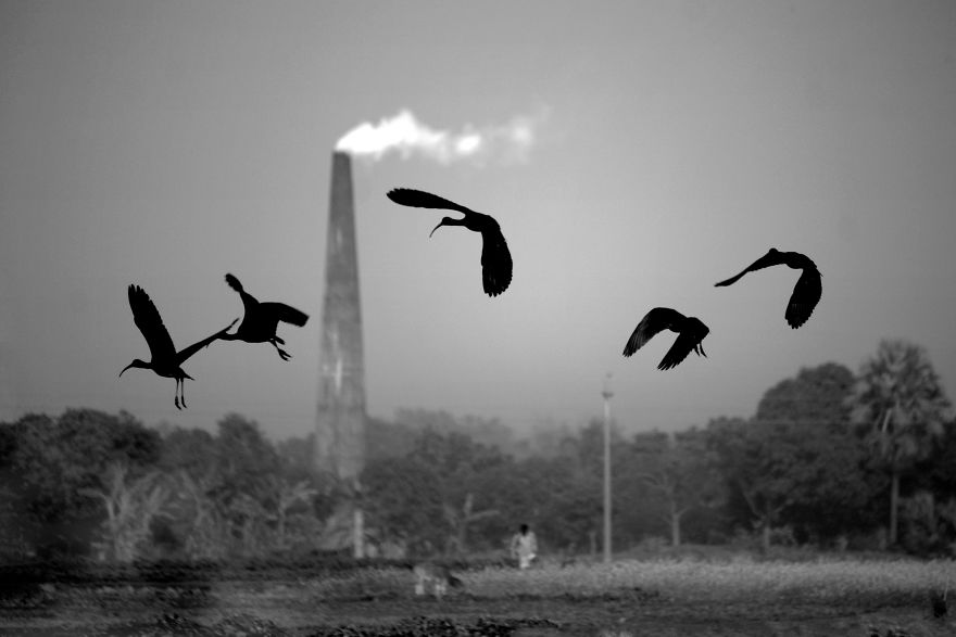 Stop Polluting Our Air