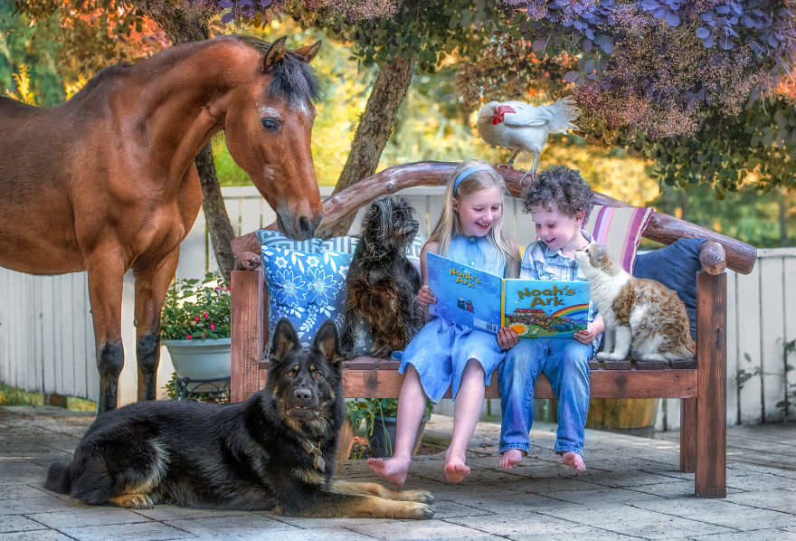 I Photograph Full Farm Portraits! I Photograph Full Farm Portraits!