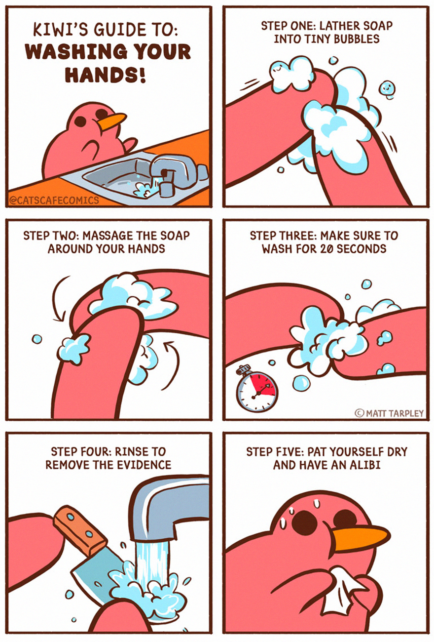 12 Thoughtful Comics About Coping During The Covid Pandemic