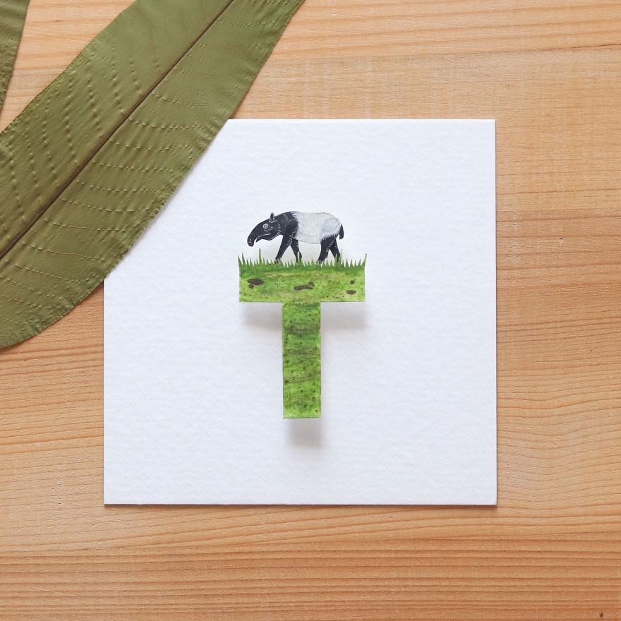 We Made An Alphabet Out Of Endangered Wildlife Species (34 Pics)