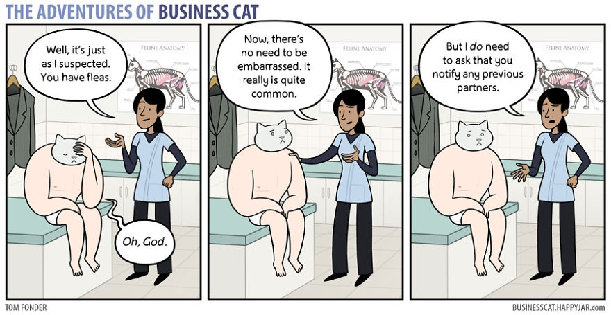 The Adventures Of Business Cat P.1 The Adventures Of Business Cat P.1
