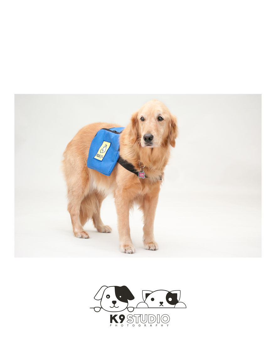 The Service In The Guidance