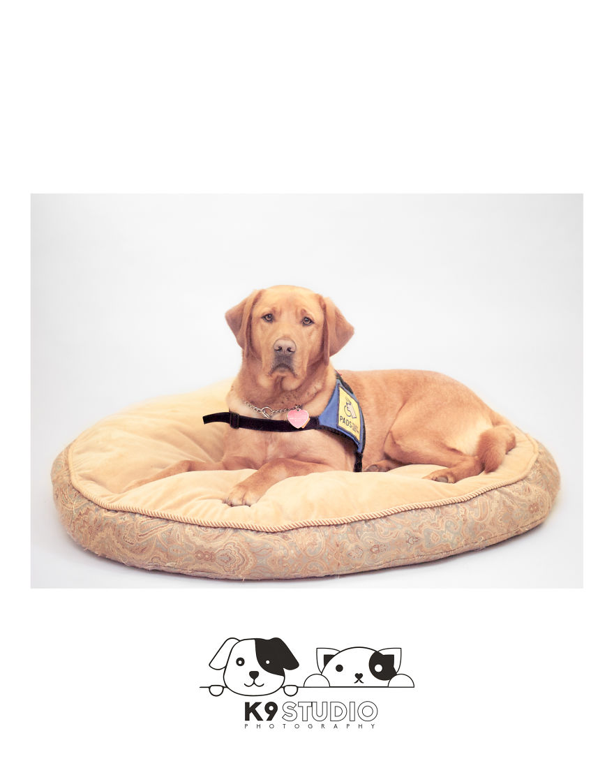 The Service In The Guidance