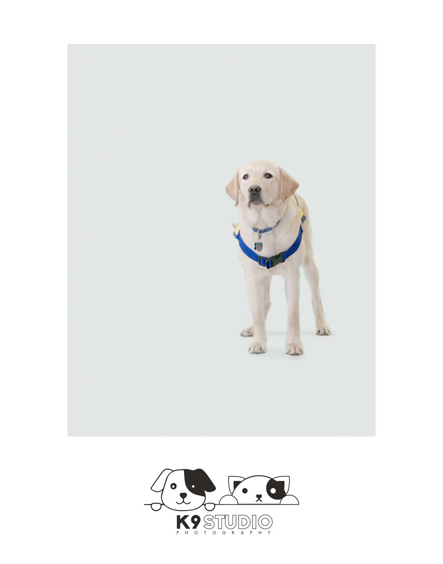 The Service In The Guidance