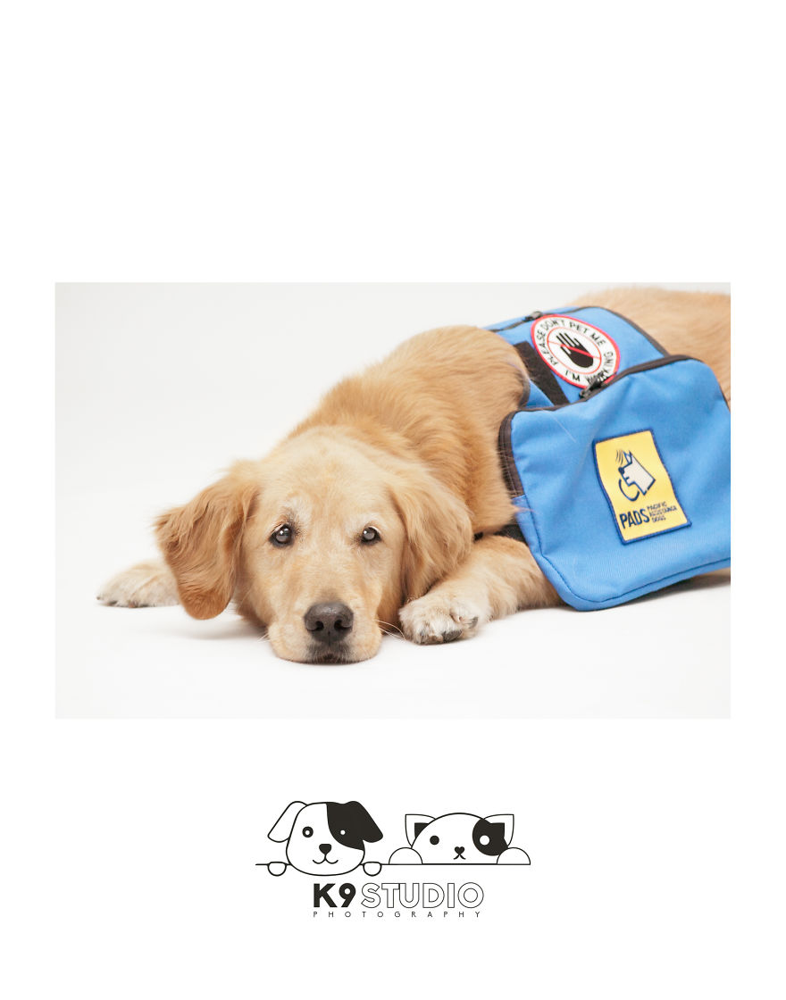 The Service In The Guidance