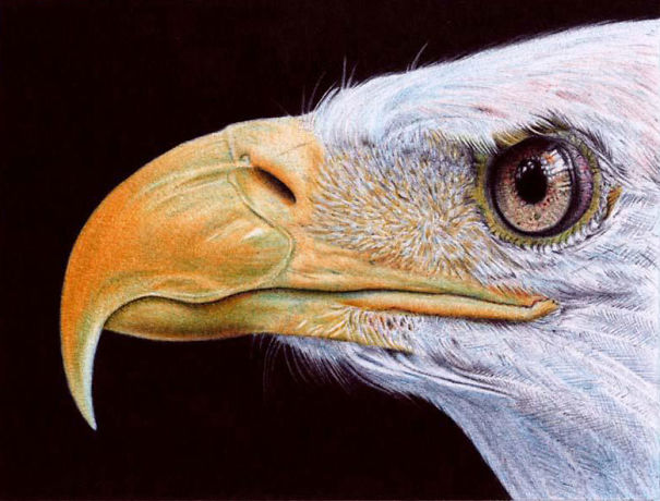 The Incredible Ballpoint Pen Drawings Of A Self-Taught Artist Will Impress You
