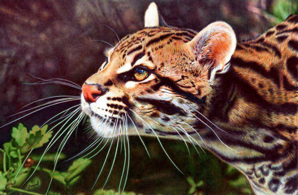 The Incredible Ballpoint Pen Drawings Of A Self-Taught Artist Will Impress You