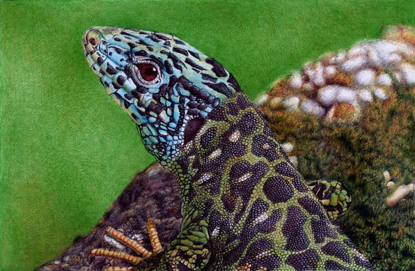 The Incredible Ballpoint Pen Drawings Of A Self-Taught Artist Will Impress You