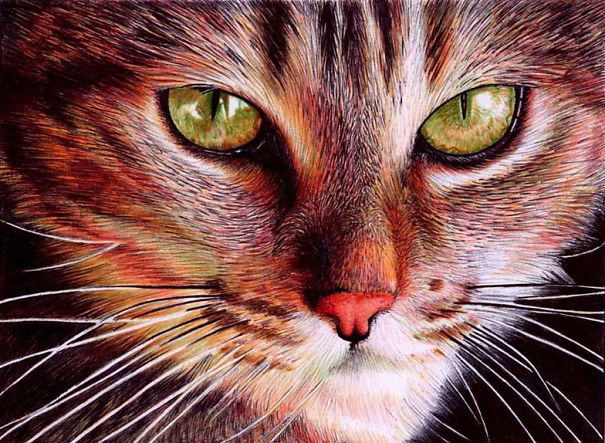 The Incredible Ballpoint Pen Drawings Of A Self-Taught Artist Will Impress You