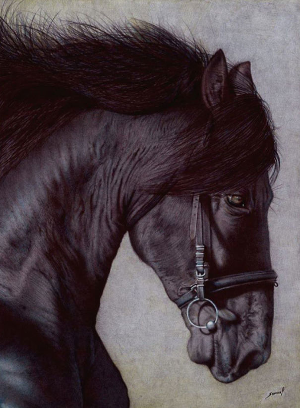 The Incredible Ballpoint Pen Drawings Of A Self-Taught Artist Will Impress You