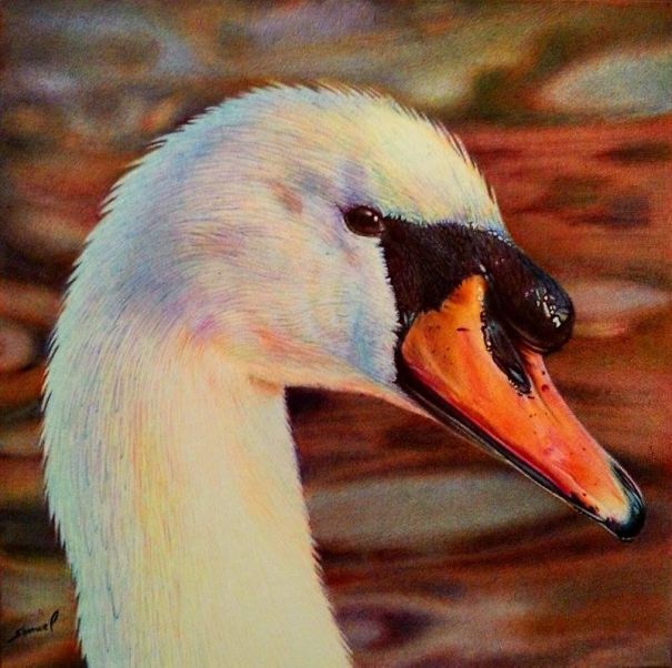 The Incredible Ballpoint Pen Drawings Of A Self-Taught Artist Will Impress You