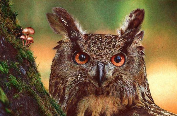 The Incredible Ballpoint Pen Drawings Of A Self-Taught Artist Will Impress You