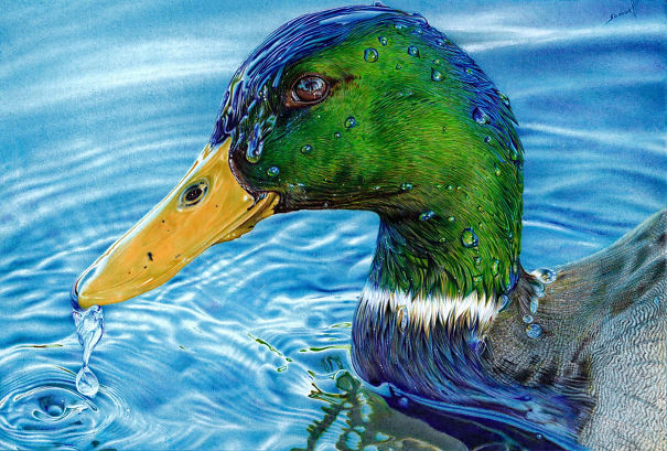 The Incredible Ballpoint Pen Drawings Of A Self-Taught Artist Will Impress You