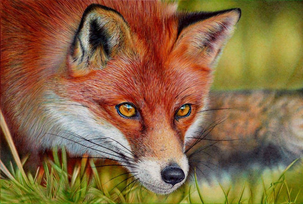 The Incredible Ballpoint Pen Drawings Of A Self-Taught Artist Will Impress You