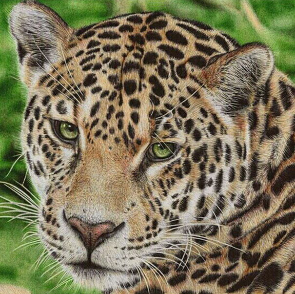 The Incredible Ballpoint Pen Drawings Of A Self-Taught Artist Will Impress You