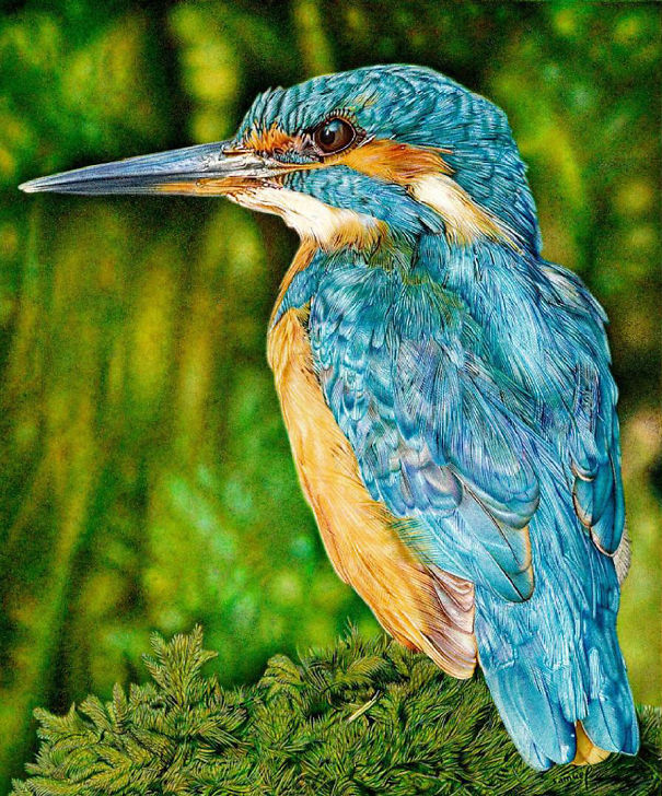 The Incredible Ballpoint Pen Drawings Of A Self-Taught Artist Will Impress You