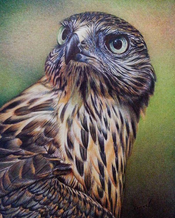 The Incredible Ballpoint Pen Drawings Of A Self-Taught Artist Will Impress You