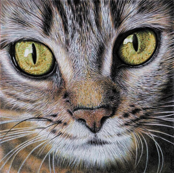 The Incredible Ballpoint Pen Drawings Of A Self-Taught Artist Will Impress You