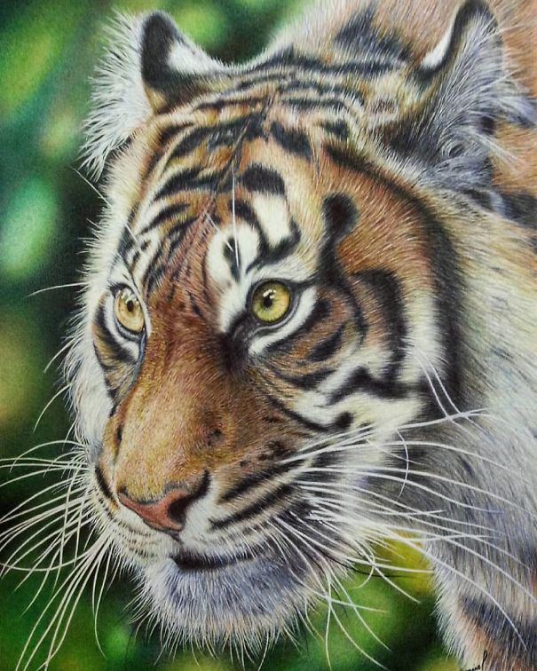 The Incredible Ballpoint Pen Drawings Of A Self-Taught Artist Will Impress You