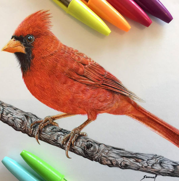 The Incredible Ballpoint Pen Drawings Of A Self-Taught Artist Will Impress You