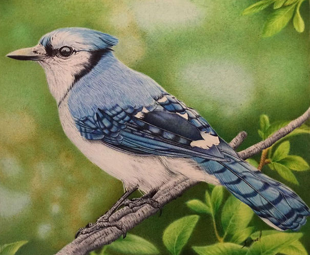 The Incredible Ballpoint Pen Drawings Of A Self-Taught Artist Will Impress You