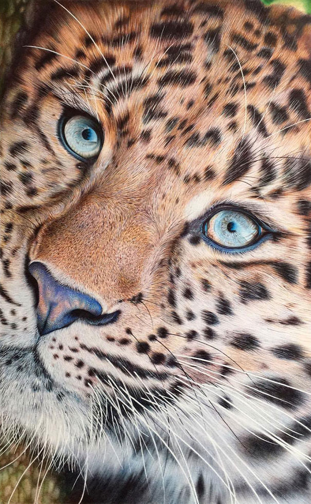 The Incredible Ballpoint Pen Drawings Of A Self-Taught Artist Will Impress You
