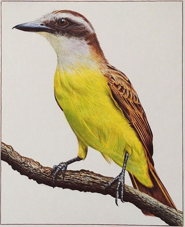 The Incredible Ballpoint Pen Drawings Of A Self-Taught Artist Will Impress You