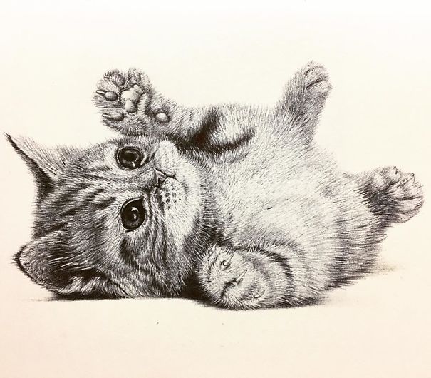 The Incredible Ballpoint Pen Drawings Of A Self-Taught Artist Will Impress You