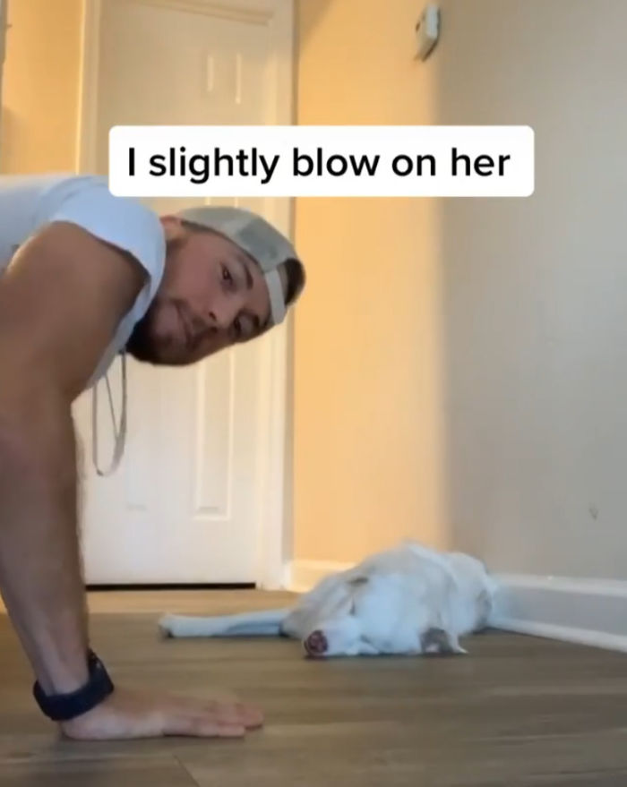 Guy Shows How He Wakes Up His Blind And Deaf Dog Without Scaring Her, Receives Almost 13 Million Likes