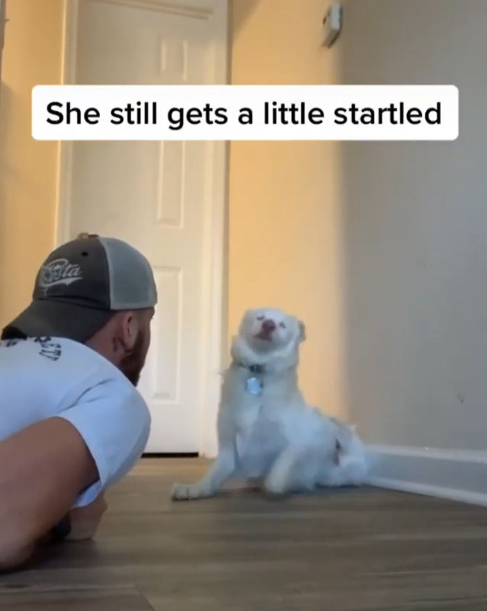 Guy Shows How He Wakes Up His Blind And Deaf Dog Without Scaring Her, Receives Almost 13 Million Likes