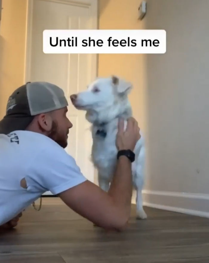 Guy Shows How He Wakes Up His Blind And Deaf Dog Without Scaring Her, Receives Almost 13 Million Likes Guy Shows How He Wakes Up His Blind And Deaf Dog Without Scaring Her, Receives Almost 13 Million Likes