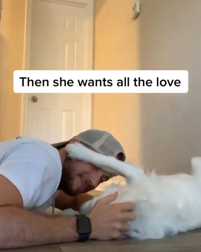 Guy Shows How He Wakes Up His Blind And Deaf Dog Without Scaring Her, Receives Almost 13 Million Likes