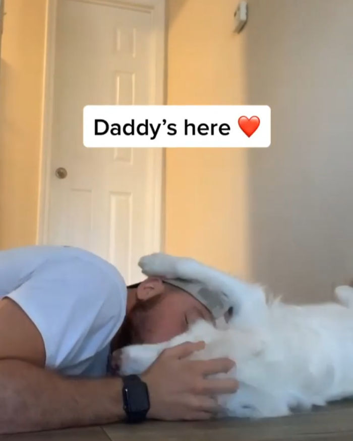 Guy Shows How He Wakes Up His Blind And Deaf Dog Without Scaring Her, Receives Almost 13 Million Likes