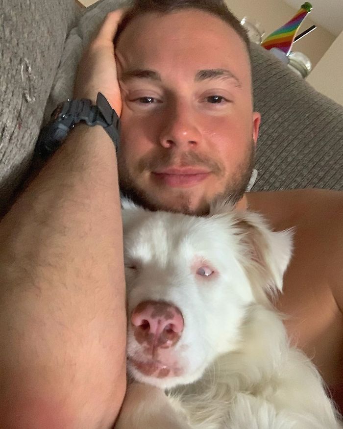 Guy Shows How He Wakes Up His Blind And Deaf Dog Without Scaring Her, Receives Almost 13 Million Likes Guy Shows How He Wakes Up His Blind And Deaf Dog Without Scaring Her, Receives Almost 13 Million Likes