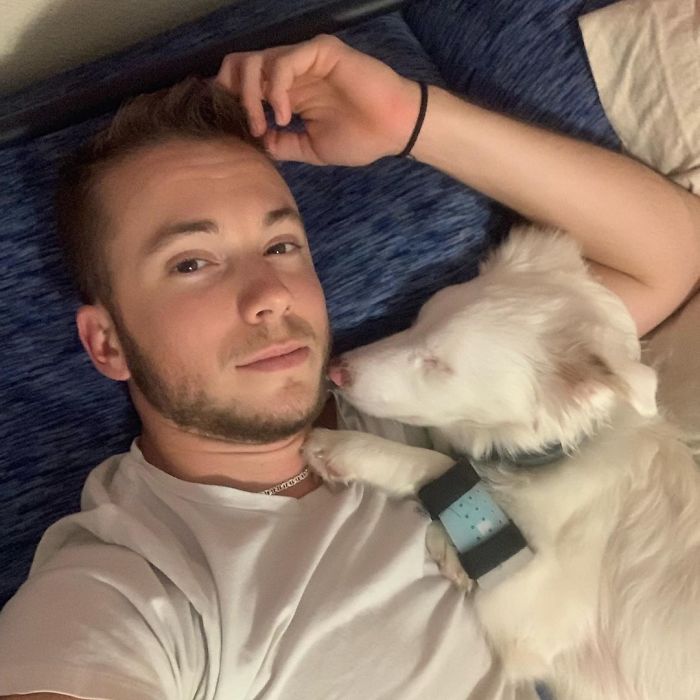 Guy Shows How He Wakes Up His Blind And Deaf Dog Without Scaring Her, Receives Almost 13 Million Likes
