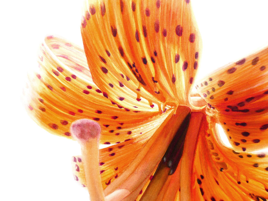 I Paint Crazy Alien Flowers In Watercolor I Paint Crazy Alien Flowers In Watercolor