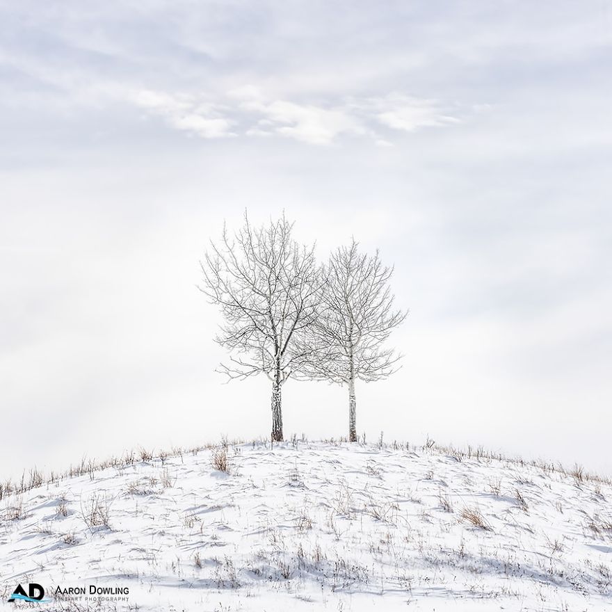 Isolation In Nature (Reflecting Our Lives Today)